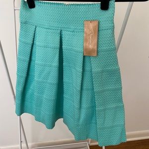 Francesca’s High Waisted Skirt Size Small